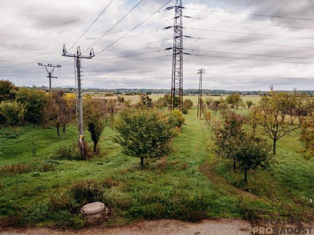 Prodej vinného sklepa, Mikulčice, 65 m2
