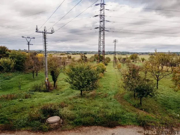 Prodej vinného sklepa, Mikulčice, 65 m2