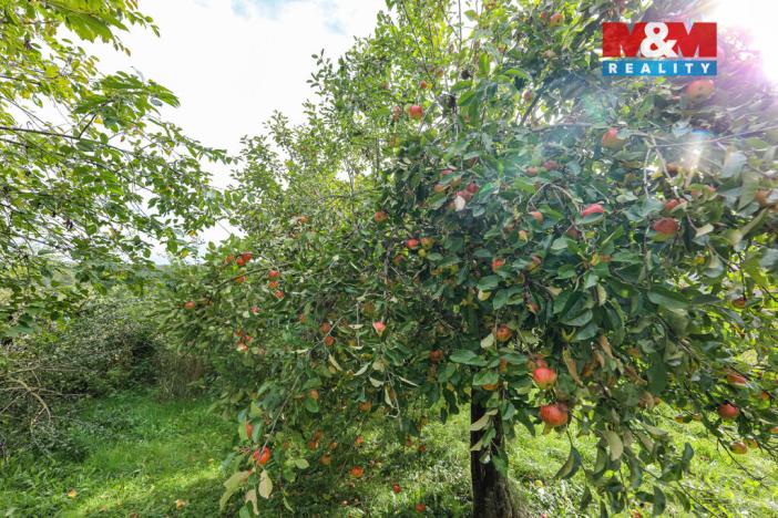 Prodej pozemku pro bydlení, Štichov, 1028 m2