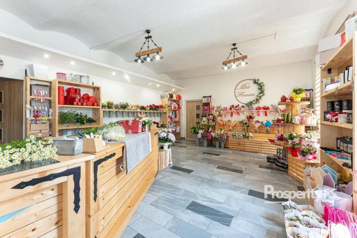 Prodej komerční, Ostrava - Mariánské Hory, 28. října, 198 m2