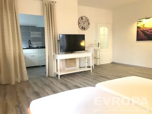 Pronájem bytu 1+kk, Plzeň - Černice, K Lutové, 47 m2