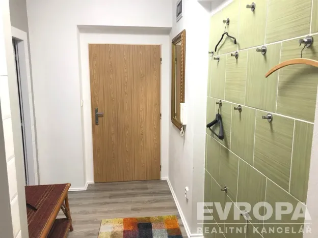 Pronájem bytu 1+kk, Plzeň - Černice, K Lutové, 47 m2