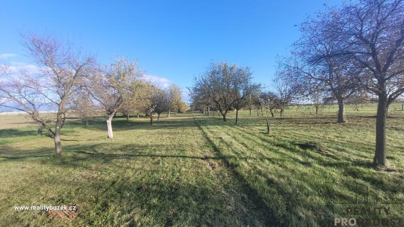 Prodej zahrady, Bochoř, 1909 m2