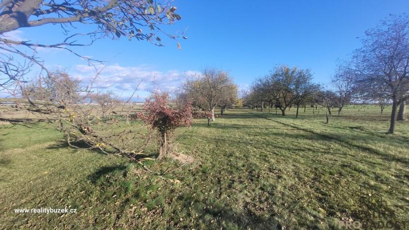 Prodej zahrady, Bochoř, 1909 m2