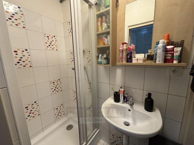 Pronájem bytu 1+1, České Budějovice - České Budějovice 6, Mánesova, 44 m2