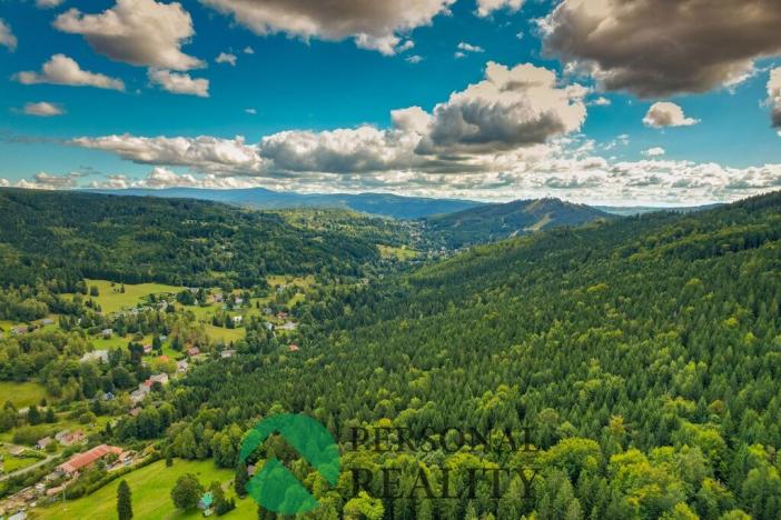 Prodej louky, Josefův Důl, 3273 m2