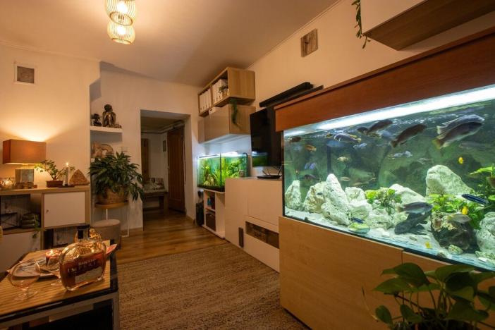 Prodej rodinného domu, Kroměříž, Na Návsi, 124 m2