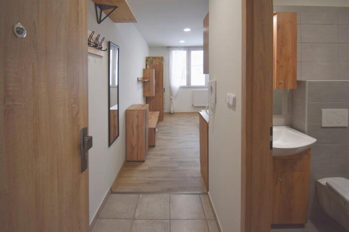 Pronájem bytu 1+kk, Úněšov, 20 m2