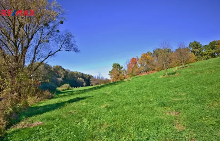 Prodej sadu/vinice, Zlín, 5599 m2