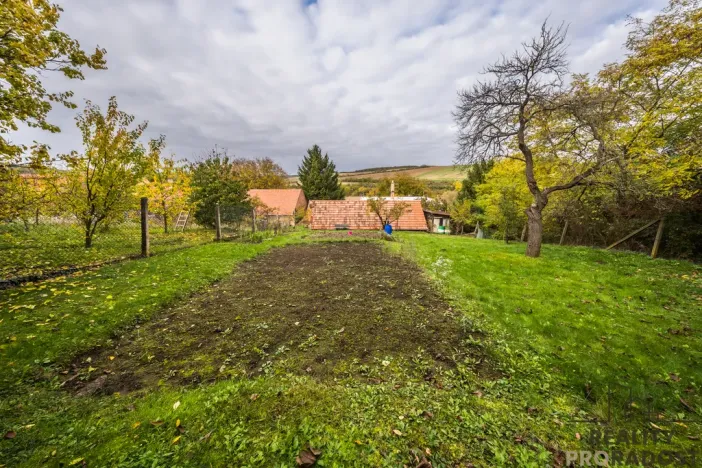 Prodej vícegeneračního domu, Klobouky u Brna - Bohumilice, 420 m2