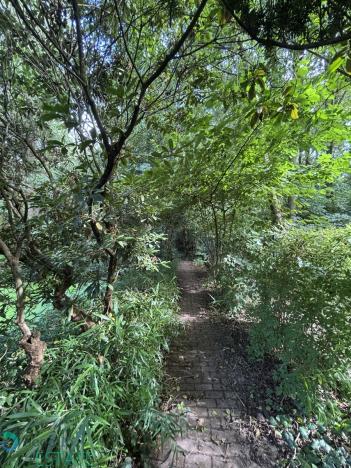 Prodej komerčního pozemku, Praha, V březině, 1099 m2