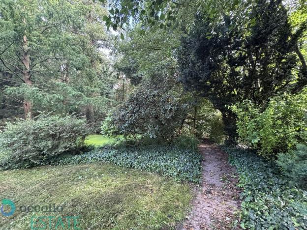 Prodej komerčního pozemku, Praha, V březině, 1099 m2