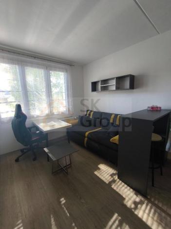 Pronájem bytu 1+kk, Karlovy Vary - Drahovice, 19 m2