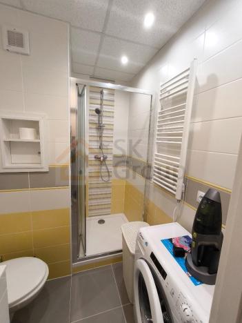 Pronájem bytu 1+kk, Karlovy Vary - Drahovice, 19 m2