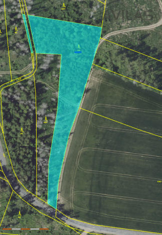 Prodej lesa, Čechtice - Jeníkov, 5835 m2