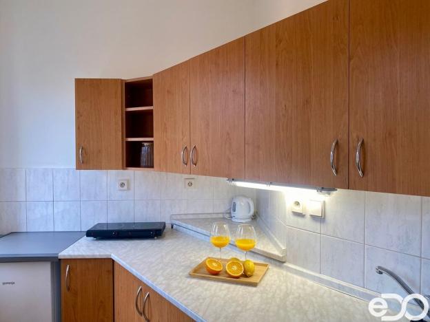 Pronájem bytu 1+kk, Mladá Boleslav, Pod Borkem, 34 m2