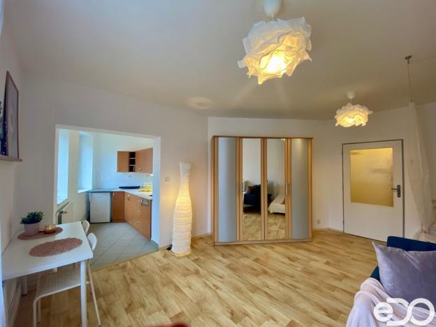 Pronájem bytu 1+kk, Mladá Boleslav, Pod Borkem, 34 m2