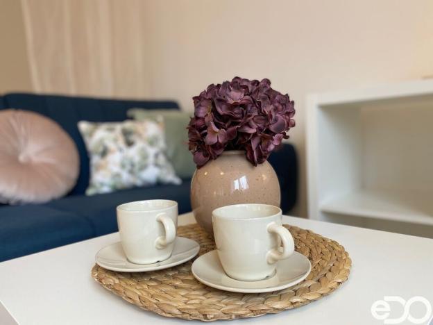 Pronájem bytu 1+kk, Mladá Boleslav, Pod Borkem, 34 m2