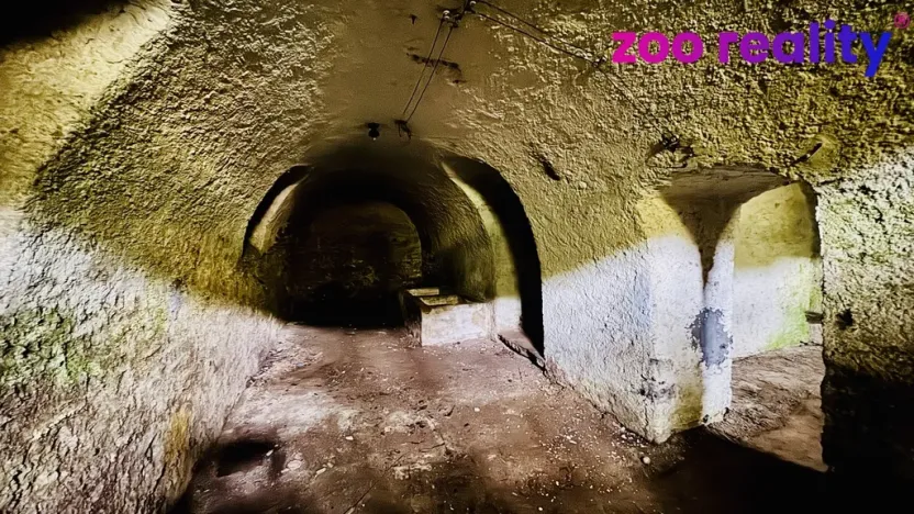 Prodej vícegeneračního domu, Rožmitál na Šumavě, 360 m2