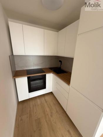 Prodej bytu 2+kk, Most, Františka Malíka, 40 m2