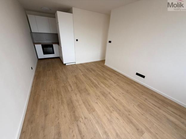 Prodej bytu 2+kk, Most, Františka Malíka, 40 m2