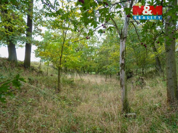 Prodej lesa, Drahobuz, 1252 m2