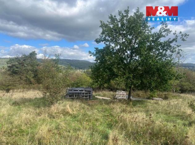 Prodej zahrady, Lešany, 5897 m2