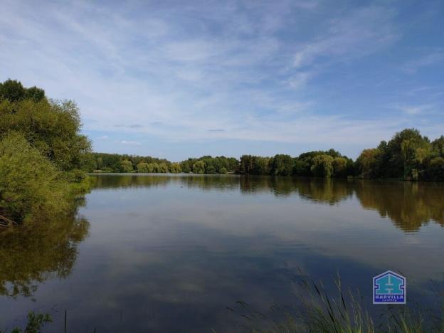 Prodej rybníku, Přehýšov, 93966 m2