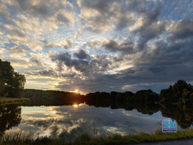 Prodej rybníku, Přehýšov, 93966 m2