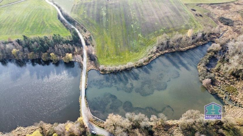 Prodej rybníku, Přehýšov, 93966 m2