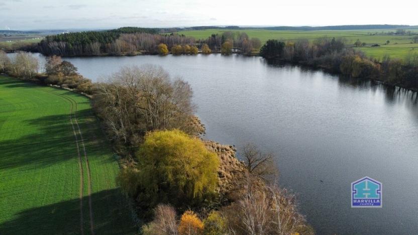 Prodej rybníku, Přehýšov, 93966 m2