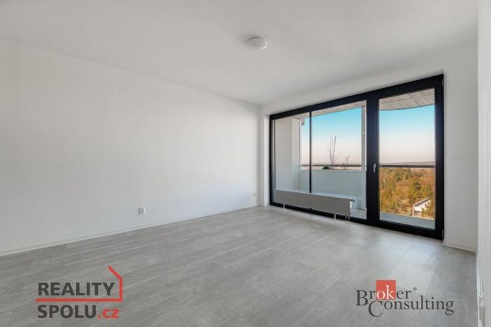 Pronájem bytu 2+kk, Plzeň, U Borského parku, 54 m2