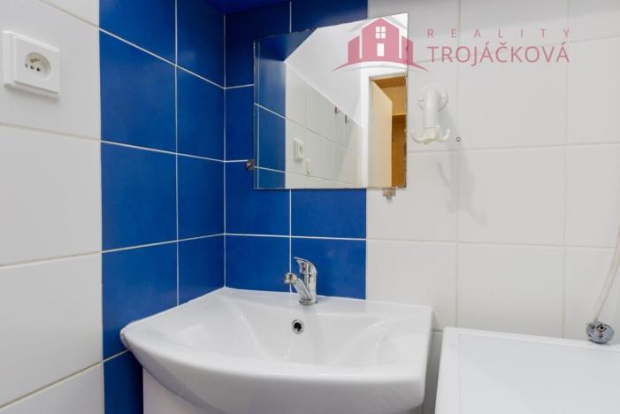 Prodej bytu 1+kk, Vigantice, 36 m2