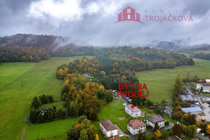 Prodej bytu 1+kk, Vigantice, 36 m2