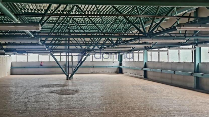 Pronájem obchodního prostoru, Praha, Za Mototechnou, 1137 m2