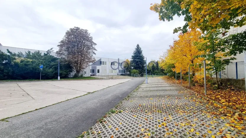 Pronájem obchodního prostoru, Praha, Za Mototechnou, 1137 m2