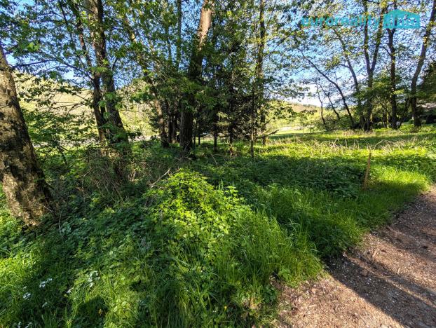 Prodej pozemku pro bydlení, Kladruby, 770 m2