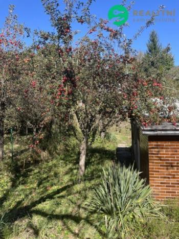 Prodej chaty, Bílovice nad Svitavou, Bílovice nad Svitavou, 54 m2