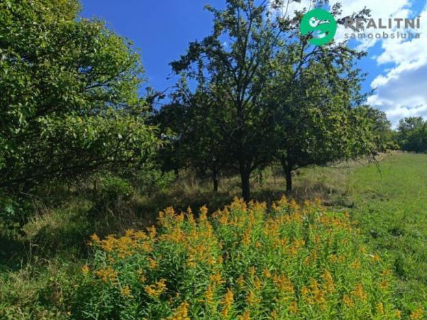 Prodej zahrady, Koryčany - Blišice, 4839 m2