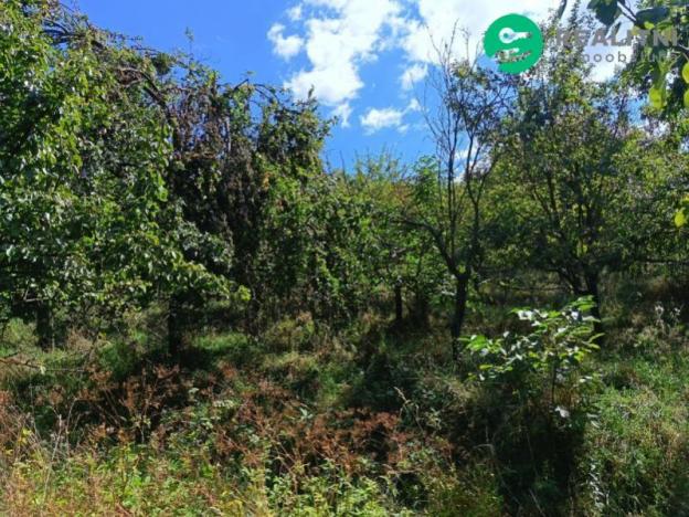 Prodej zahrady, Koryčany - Blišice, 4839 m2