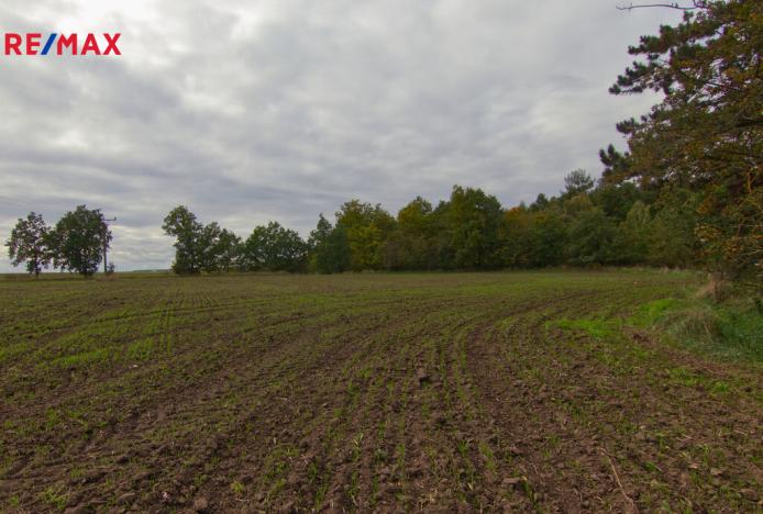 Prodej pozemku pro bydlení, Slaný, 3200 m2