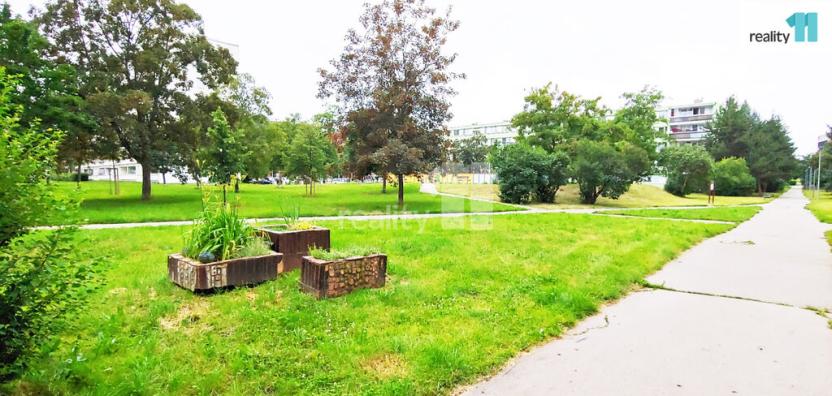 Pronájem bytu 3+kk, Praha - Karlín, Nekvasilova, 47 m2