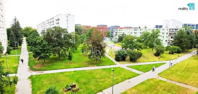 Pronájem bytu 3+kk, Praha - Karlín, Nekvasilova, 47 m2