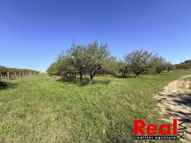 Prodej pozemku pro bydlení, Veverské Knínice, 3129 m2