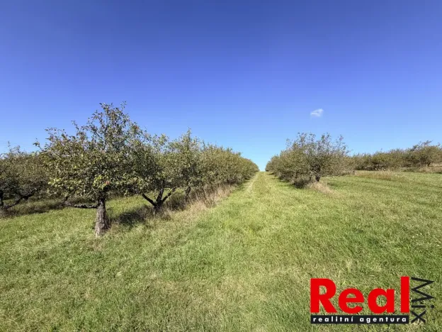 Prodej pozemku pro bydlení, Veverské Knínice, 3129 m2