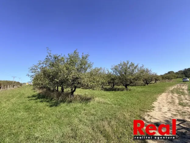 Prodej pozemku pro bydlení, Veverské Knínice, 3129 m2