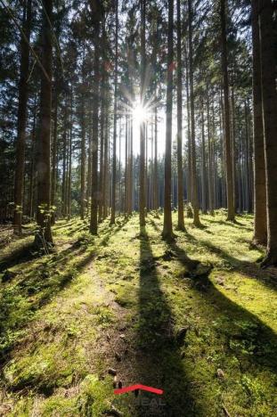 Prodej chaty, Tři Studně, 83 m2
