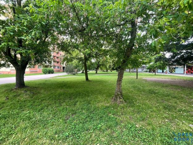 Pronájem bytu 1+1, Bílina - Teplické Předměstí, Sídliště Za Chlumem, 34 m2