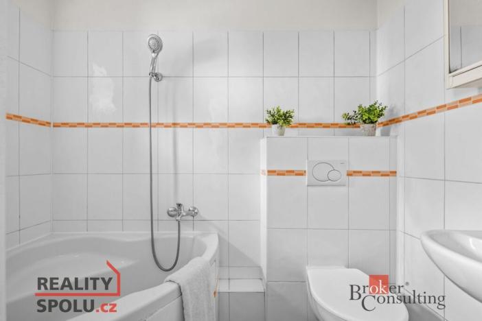 Pronájem rodinného domu, Nelahozeves, Dvořákova stezka, 197 m2