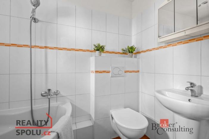 Pronájem rodinného domu, Nelahozeves, Dvořákova stezka, 197 m2